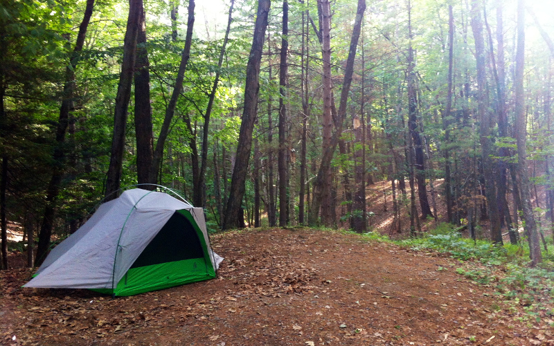 Quiet campsite